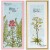 Stempel akrylowy Liście paproci TC0913 Marianne Design