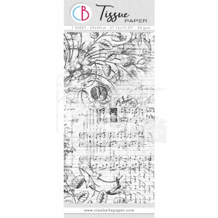 Papier bibuła Tissue Paper 69x49cm Aesthetic HT030 Ciao Bella
