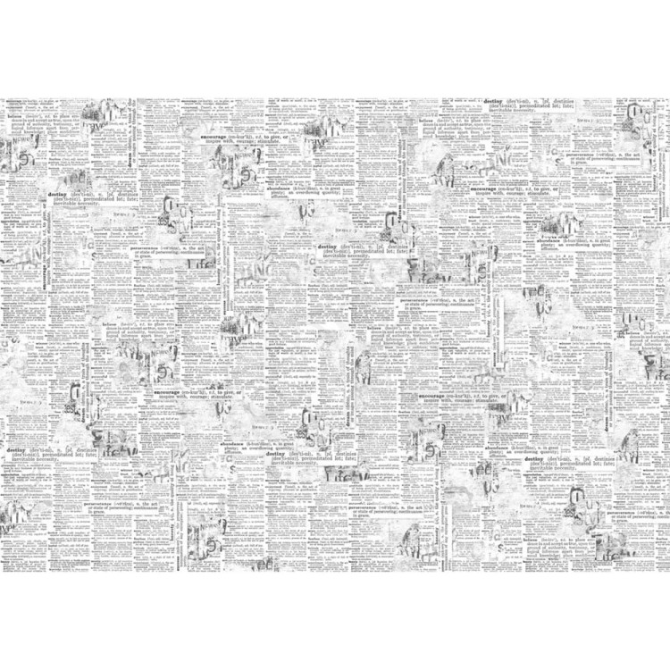 Papier bibuła Tissue Paper 69x49cm News HT029 Ciao Bella