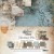 Zestaw papierów do scrapbookingu 30x30 Adventure Men AA-AM-07 Alchemy of Art