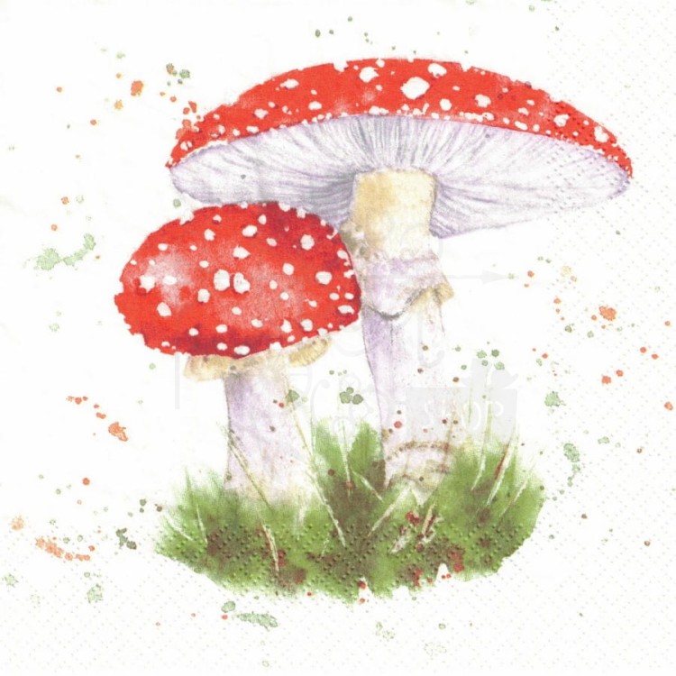 Serwetka 33x33 - Grzyby muchomory
