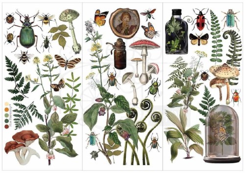 Rub-on transfer 15x30 Botanical Archives 3 arkusze 675127 Prima