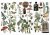 Rub-on transfer 15x30 Botanical Archives 3 arkusze 675127 Prima