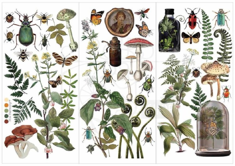Rub-on transfer 15x30 Botanical Archives 3 arkusze 675127 Prima