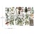 Rub-on transfer 15x30 Botanical Archives 3 arkusze 675127 Prima