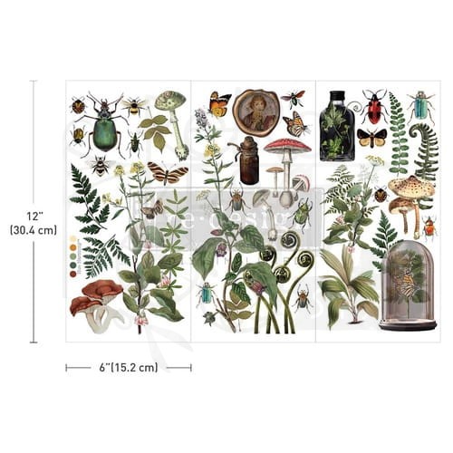 Rub-on transfer 15x30 Botanical Archives 3 arkusze 675127 Prima