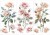 Rub-on transfer 15x30 Blush Symphony 3 arkusze 674632 Prima