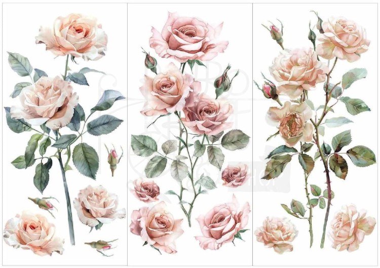 Rub-on transfer 15x30 Blush Symphony 3 arkusze 674632 Prima