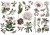 Rub-on transfer 15x30 Secret Garden 3 arkusze 674540 Prima
