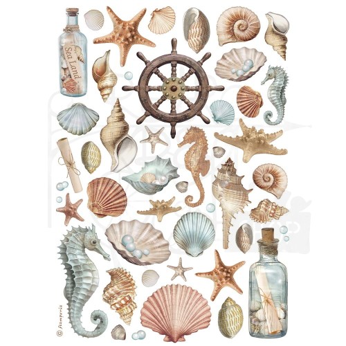 Papier ryżowy do decoupage A4 Best Sellers Muszle DFSA4998 Stamperia