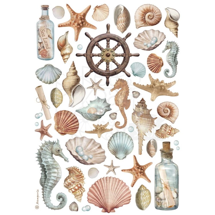 Papier ryżowy do decoupage A4 Best Sellers Muszle DFSA4998 Stamperia