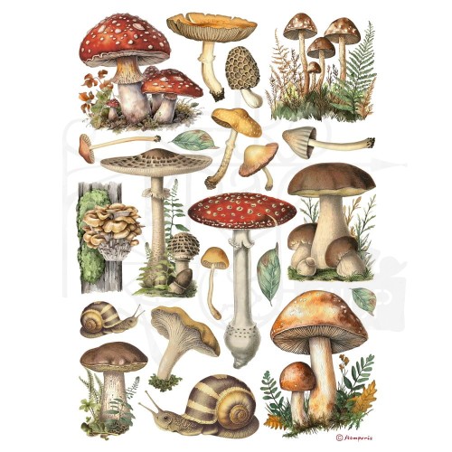 Papier ryżowy do decoupage A4 Best Sellers Grzybki DFSA41000 Stamperia