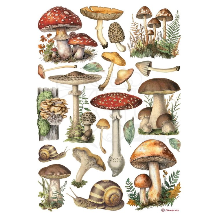 Papier ryżowy do decoupage A4 Best Sellers Grzybki DFSA41000 Stamperia