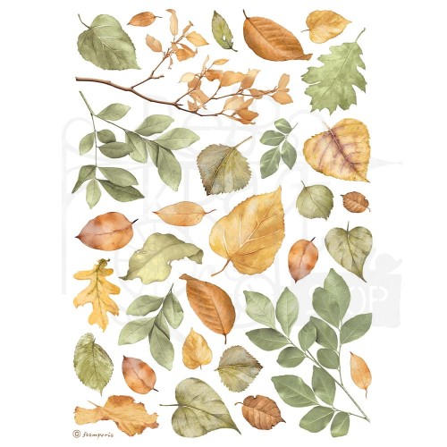Papier ryżowy do decoupage A4 Best Sellers Liście DFSA4999 Stamperia