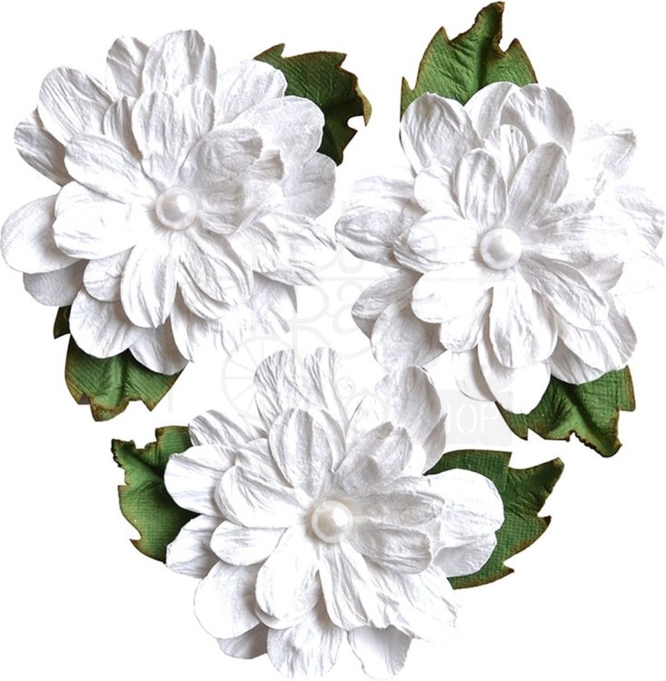 Kwiaty kwiatki papierowe White Range Hawaiian Daisien 3szt 2037-109 Vaessen Creative