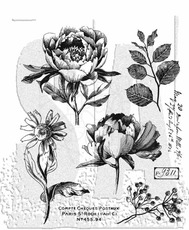 Stempel gumowy kauczukowy French Garden 8 elementów CMS487 Tim Holtz Stampers Anonymous