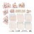 Zestaw papierów do scrapbookingu 20x20 Shabby Pack 10 ScrapBoys