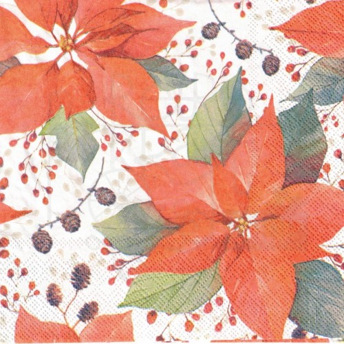 Serwetka 33x33 - Poinsecja i szyszki
