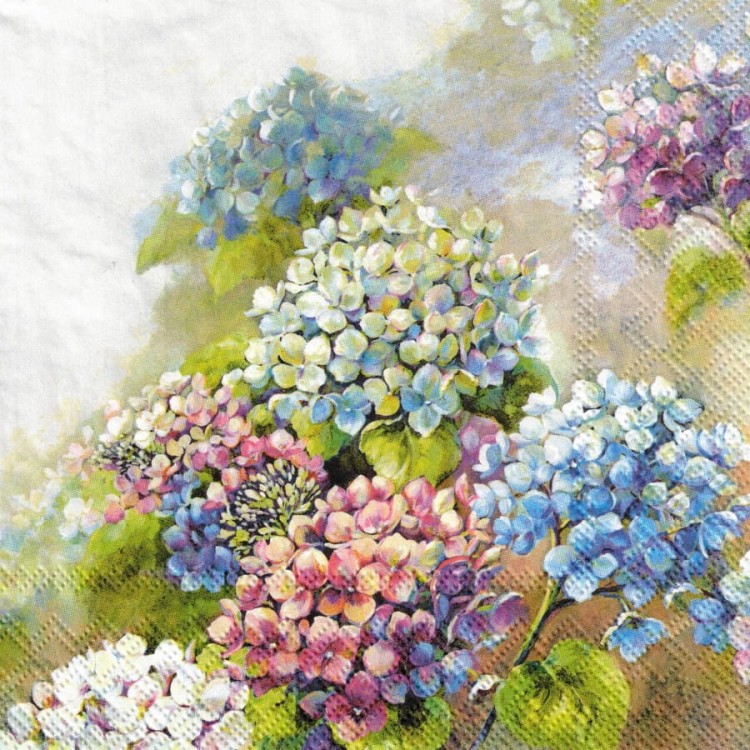 Serwetka 33x33 - Kolorowa hortensja
