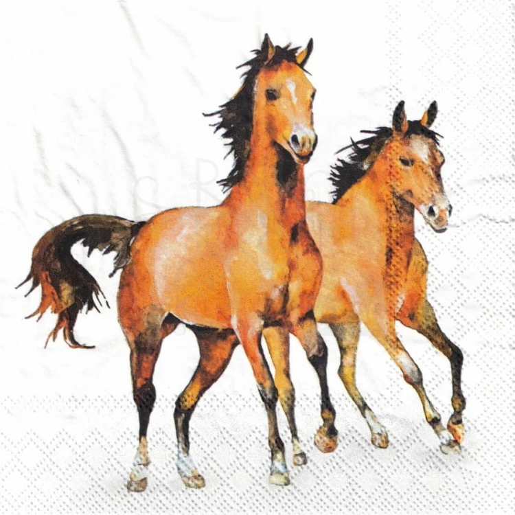 Serwetka 33x33 - Dzikie konie