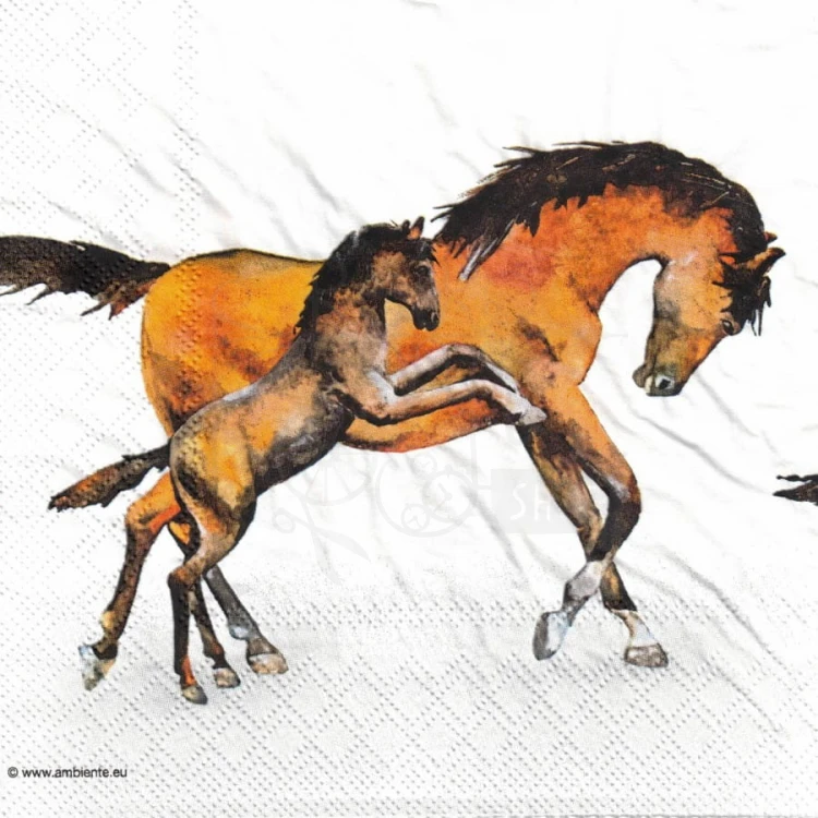 Serwetka 33x33 - Dzikie konie