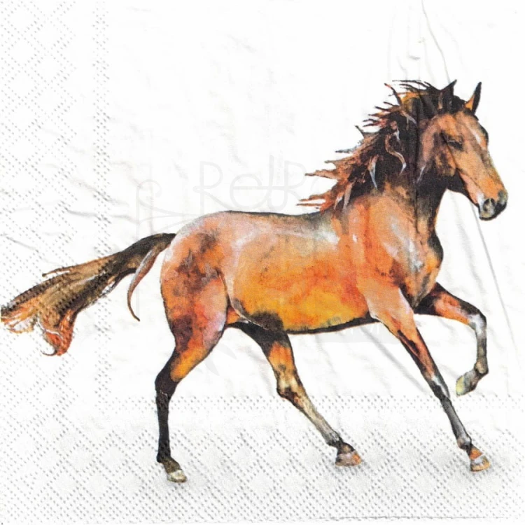 Serwetka 33x33 - Dzikie konie