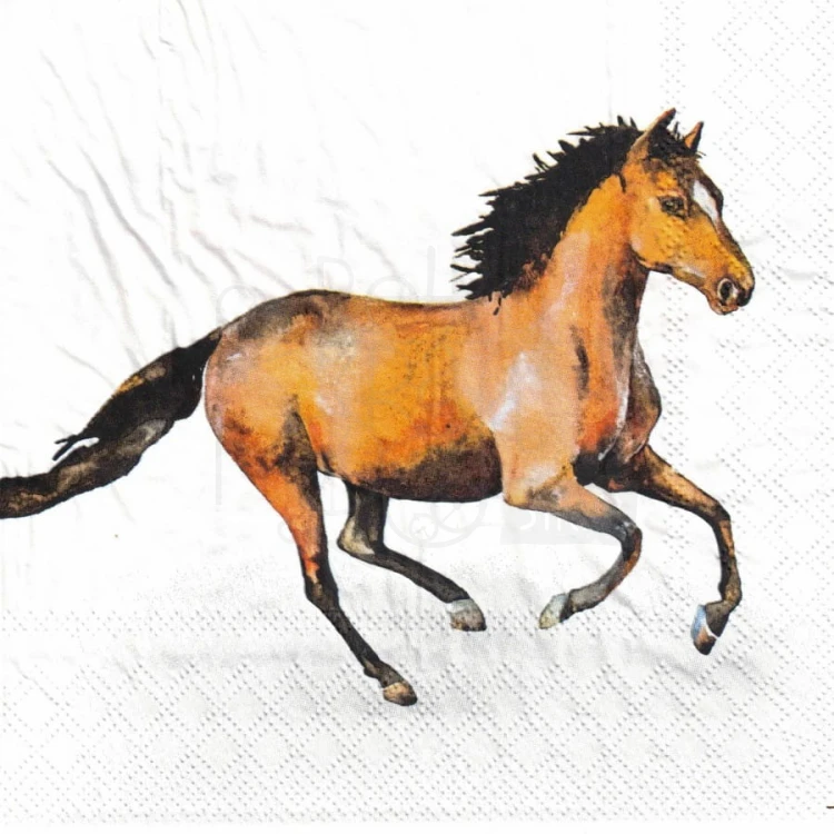 Serwetka 33x33 - Dzikie konie