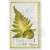 Szablon maska A5 Liść paproci PS8144 Marianne Design