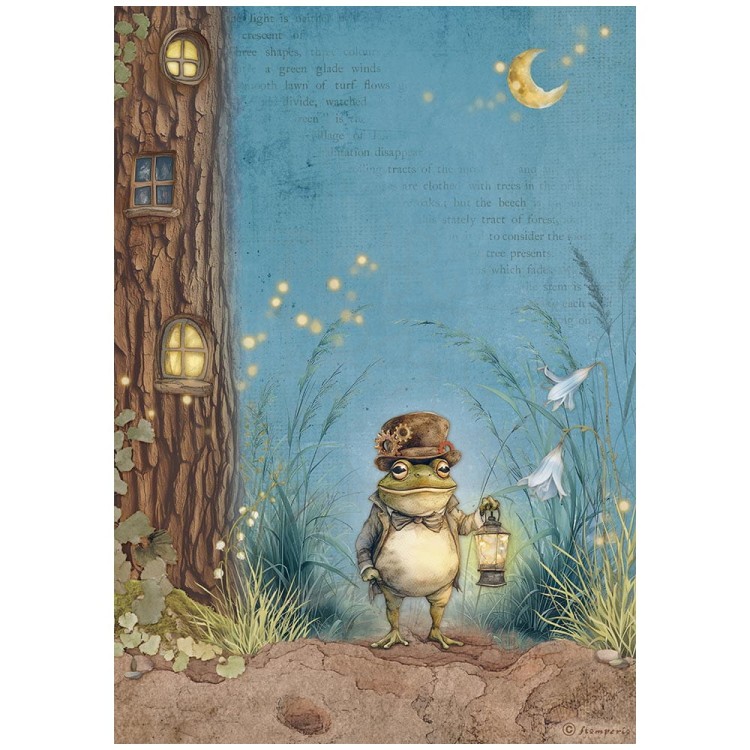 Papier ryżowy do decoupage A4 Hidden Grove Pan Żaba DFSA41013 Stamperia