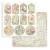 Zestaw papierów do scrapbookingu 20x20 House of Roses SBBS08 Stamperia