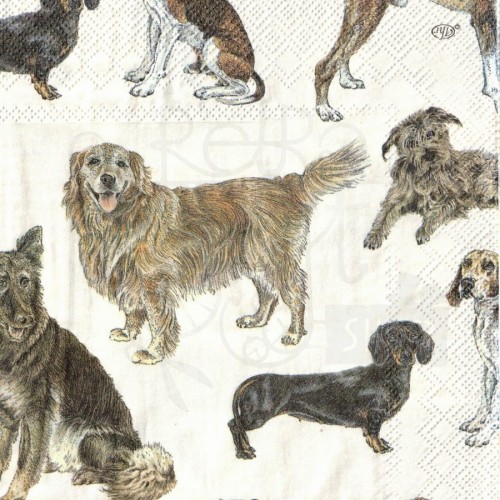 Serwetka 33x33 - Psy