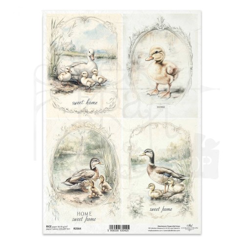 Papier ryżowy do decoupage A4 kaczki kaczuszki R2564 ITD Collection