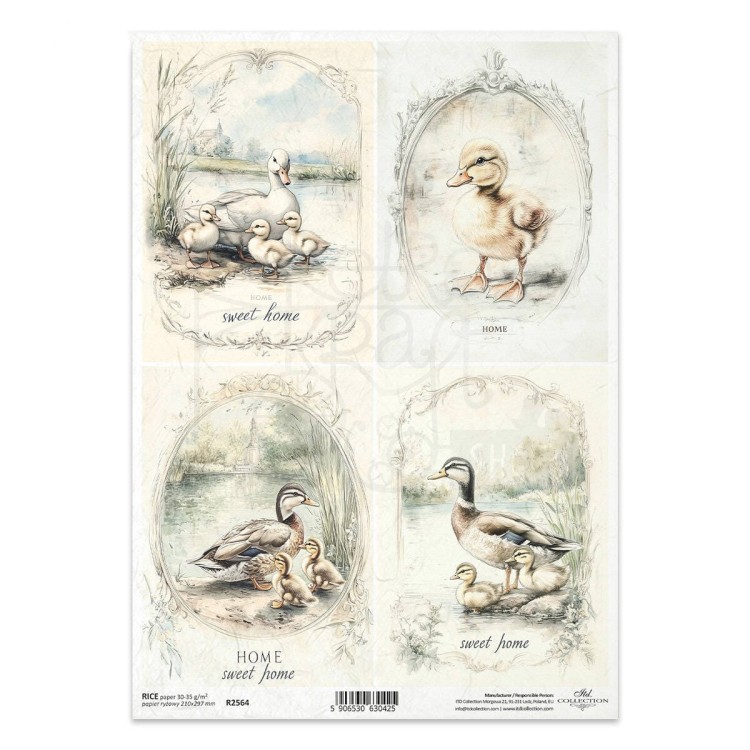 Papier ryżowy do decoupage A4 kaczki kaczuszki R2564 ITD Collection
