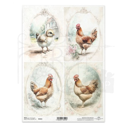 Papier ryżowy do decoupage A4 kury wiejskie klimaty R2563 ITD Collection
