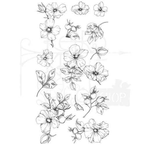 Stempel akrylowy Wildflower Botanicals 13 elementów 666870 Sizzix