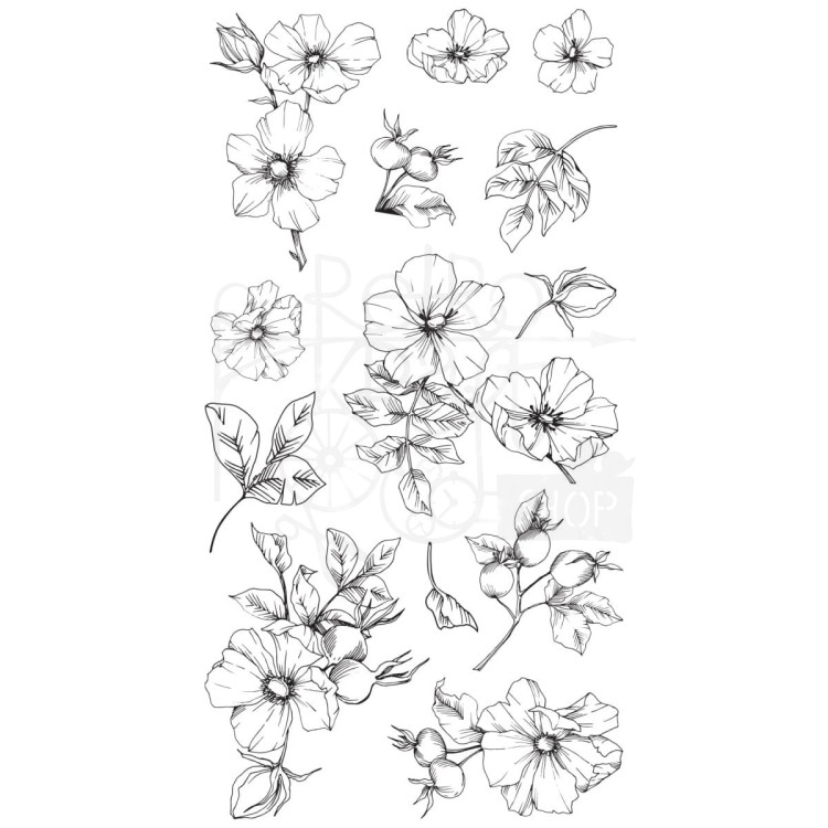 Stempel akrylowy Wildflower Botanicals 13 elementów 666870 Sizzix