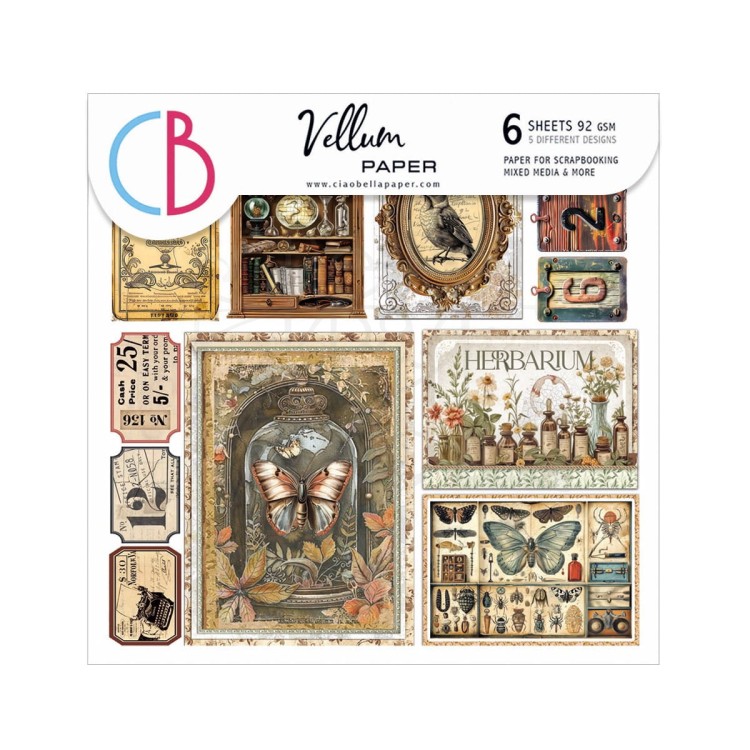 Zestaw papierów welinowych kalki 15x15cm Vellum Paper Cabinet of Curiosites CBVQ024 Ciao Bella