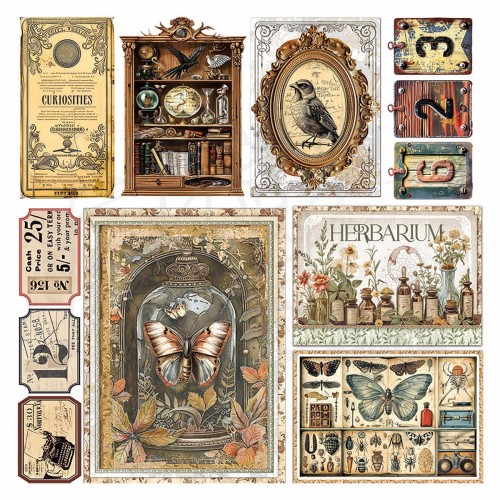Zestaw papierów welinowych kalki 15x15cm Vellum Paper Cabinet of Curiosites CBVQ024 Ciao Bella