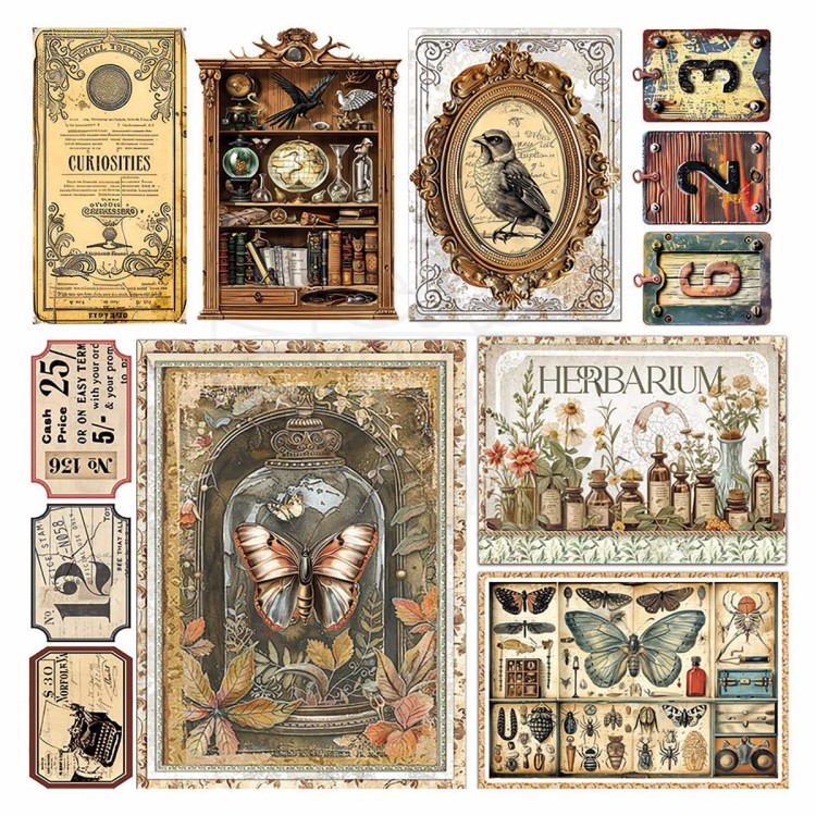 Zestaw papierów welinowych kalki 15x15cm Vellum Paper Cabinet of Curiosites CBVQ024 Ciao Bella