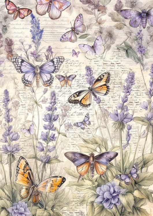 Zestaw papierów Tissue Paper A4 Whismical Butterflies HA003 Ciao Bella