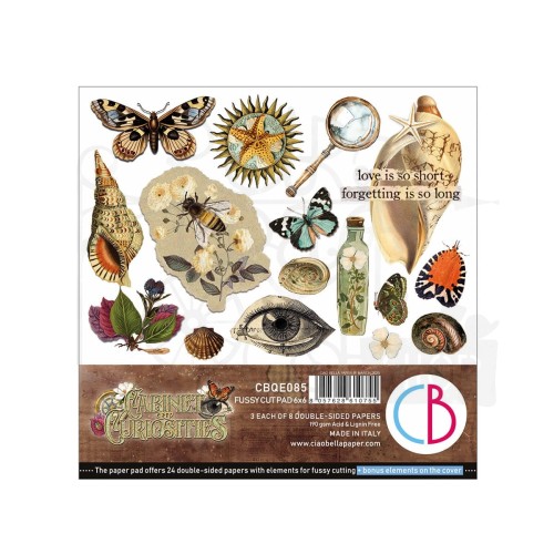 Zestaw papierów do scrapbookingu 15x15 Cabinet of Curiosites CBQE085 Ciao Bella