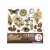 Zestaw papierów do scrapbookingu 15x15 Cabinet of Curiosites CBQE085 Ciao Bella