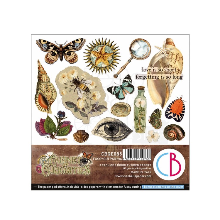Zestaw papierów do scrapbookingu 15x15 Cabinet of Curiosites CBQE085 Ciao Bella