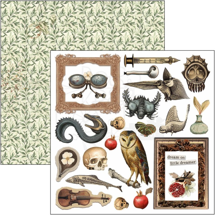 Zestaw papierów do scrapbookingu 15x15 Cabinet of Curiosites CBQE085 Ciao Bella