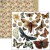 Zestaw papierów do scrapbookingu 15x15 Cabinet of Curiosites CBQE085 Ciao Bella