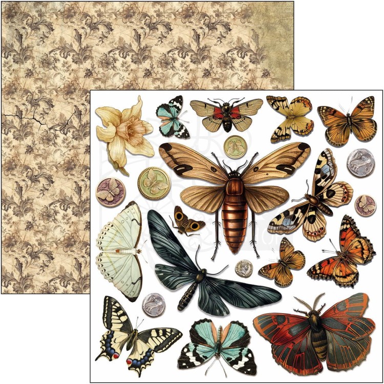 Zestaw papierów do scrapbookingu 15x15 Cabinet of Curiosites CBQE085 Ciao Bella