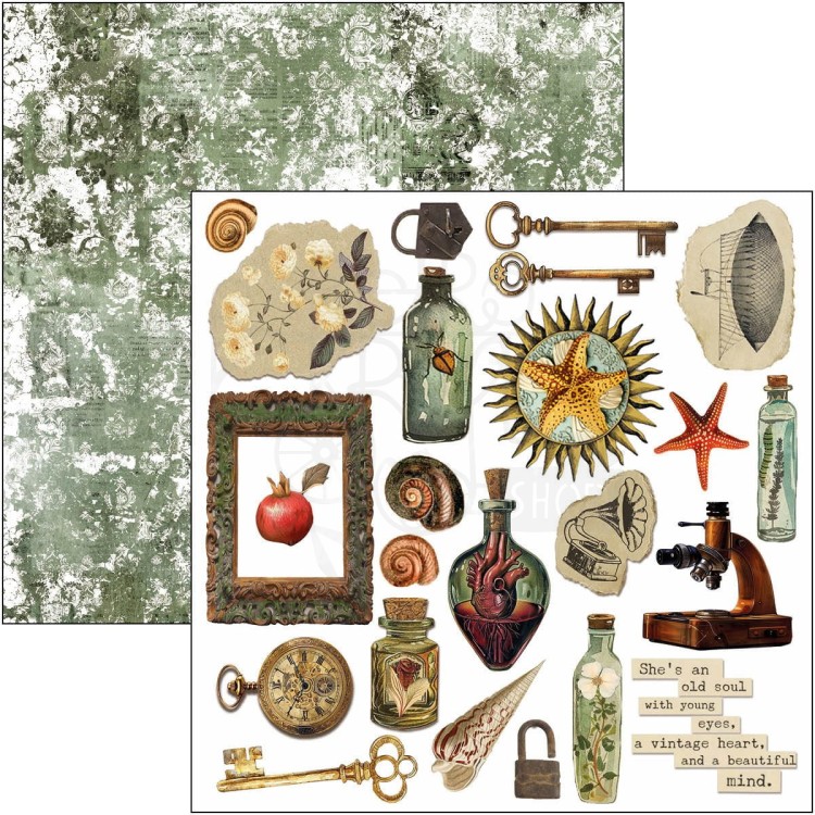 Zestaw papierów do scrapbookingu 15x15 Cabinet of Curiosites CBQE085 Ciao Bella