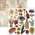 Zestaw papierów do scrapbookingu 15x15 Cabinet of Curiosites CBQE085 Ciao Bella
