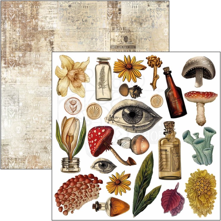 Zestaw papierów do scrapbookingu 15x15 Cabinet of Curiosites CBQE085 Ciao Bella