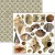 Zestaw papierów do scrapbookingu 15x15 Cabinet of Curiosites CBQE085 Ciao Bella